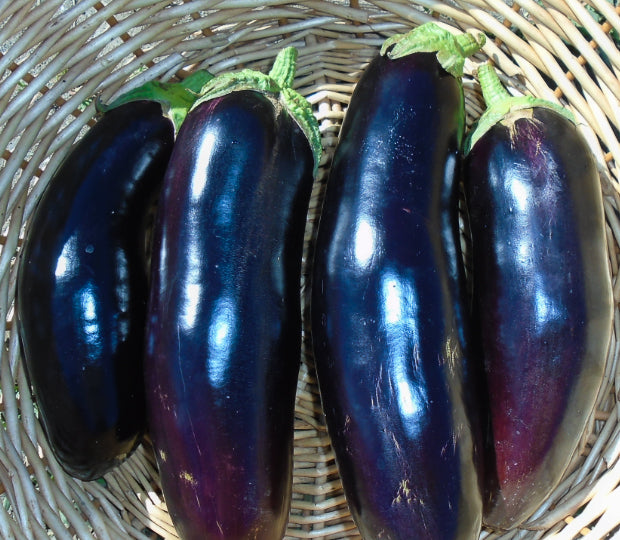 Eggplant (per lb)