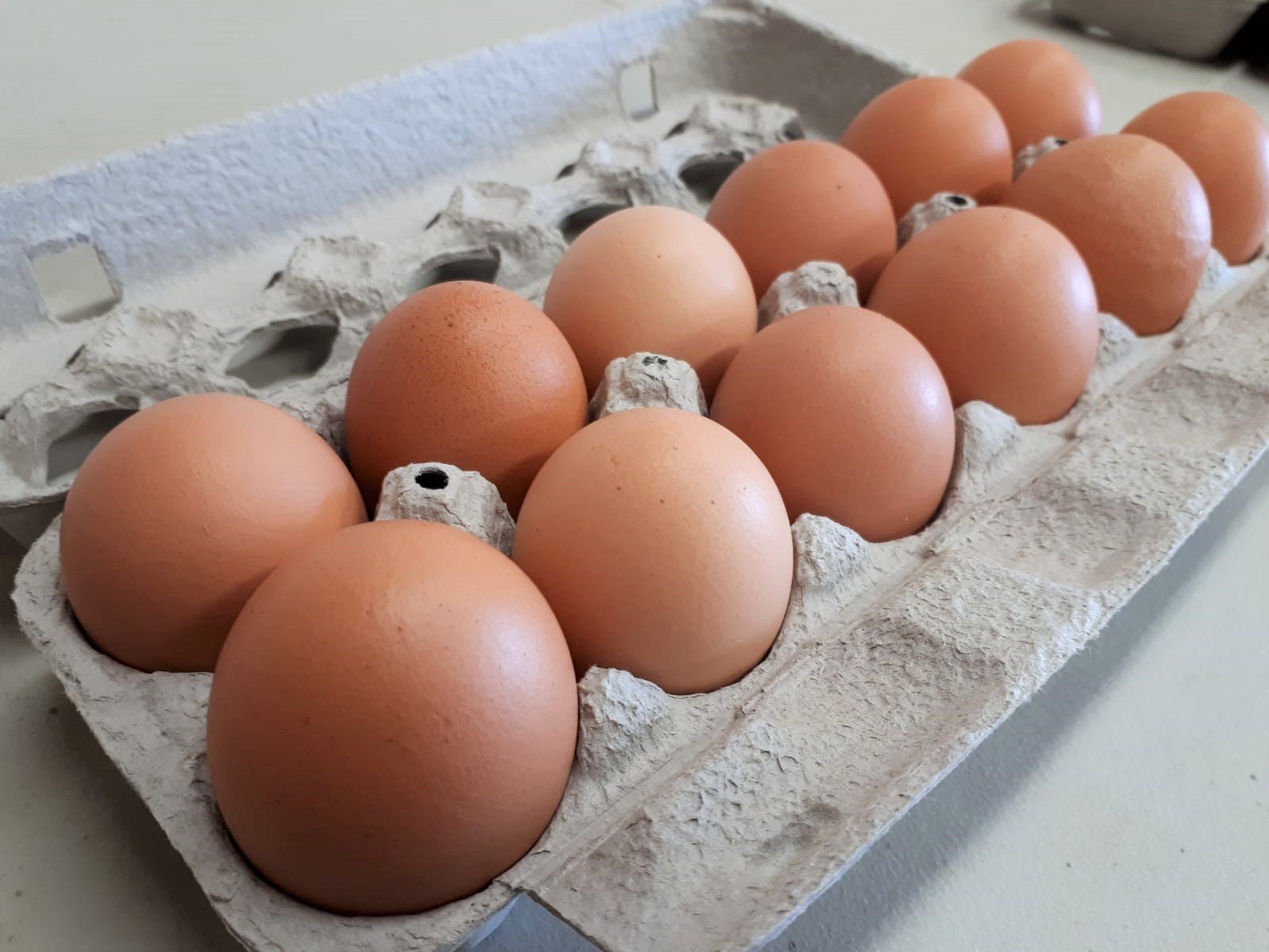 Eggs (Mixed Sizes) (per Dozen)