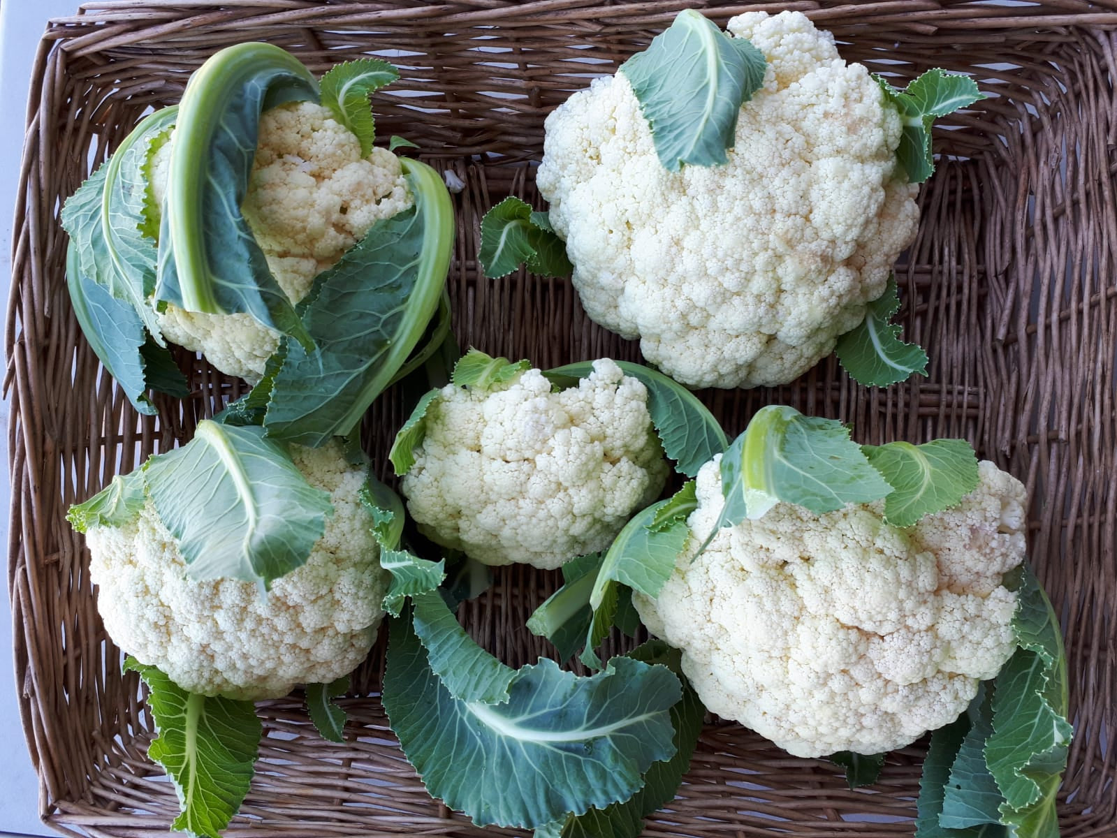 Cauliflower (per lb)