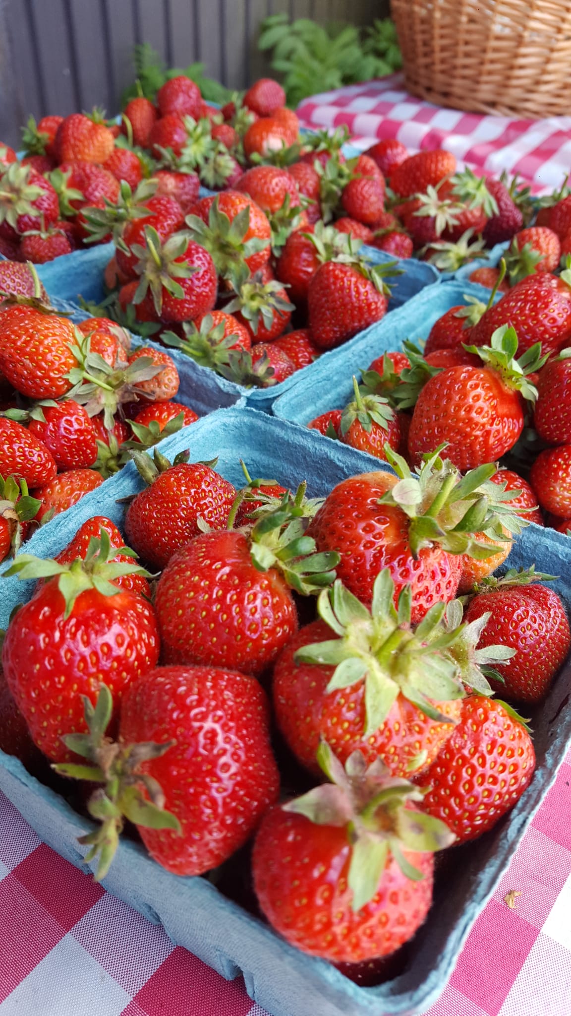 Fresh Strawberries by La Chatelaine Farms Per Pound