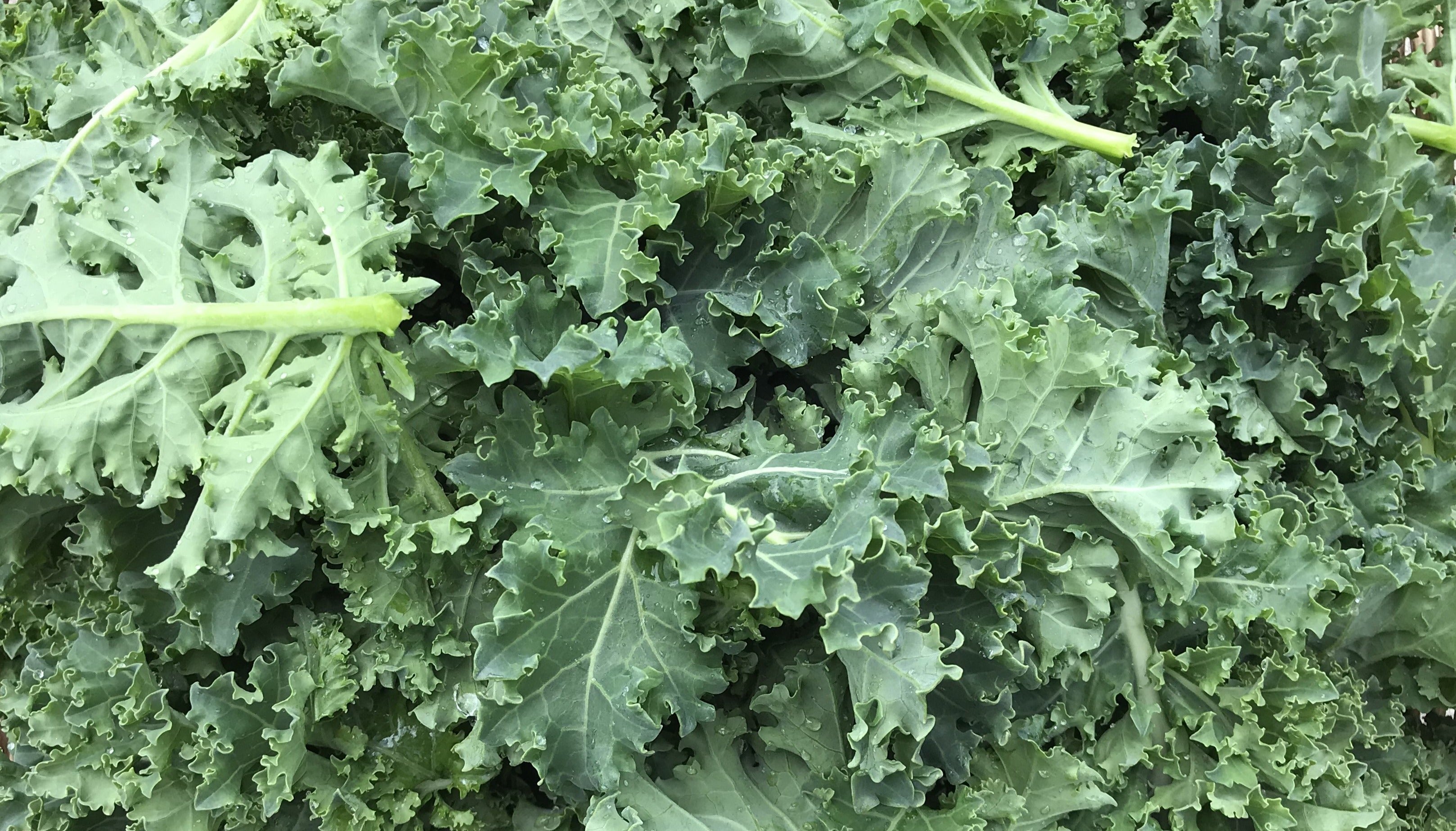 Green Kale (per Bunch)