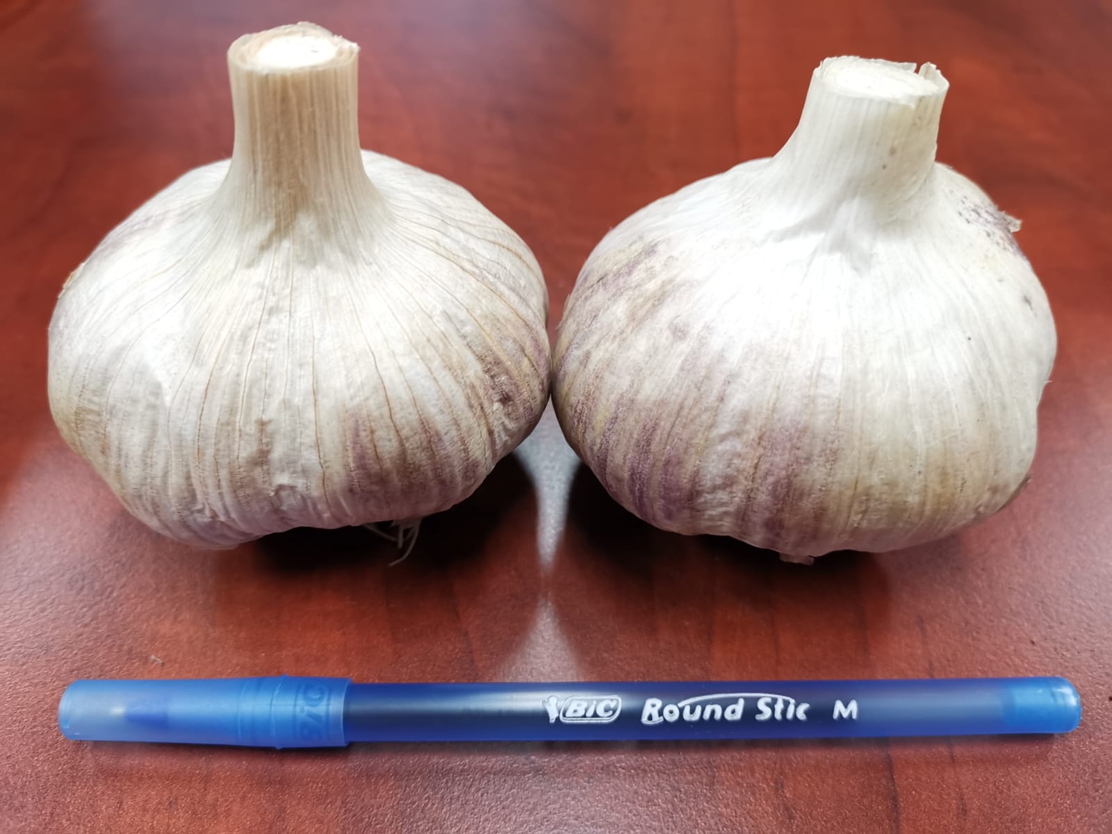 Russian Garlic (per lb)